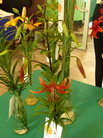 Foto: Dr. Peter Müller